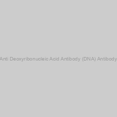 Image of Anti Deoxyribonucleic Acid Antibody (DNA) Antibody